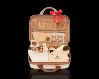 baby Bear Password Suitcase