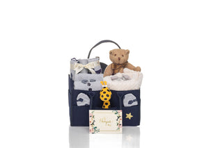 teady gift bag