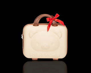 baby Bear Password Suitcase