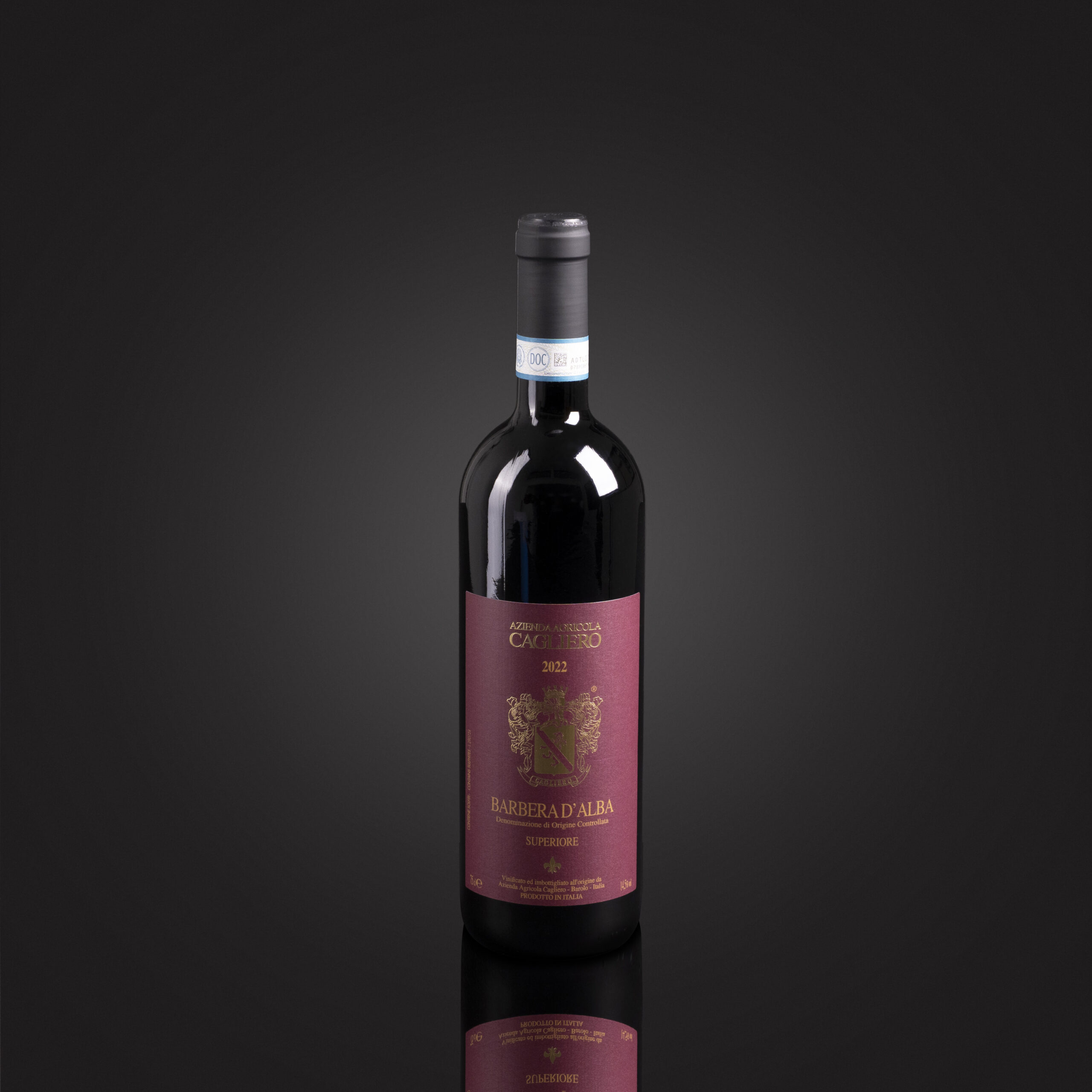 Azienda Agricola Cagliero Barbera D’Alba 2020 750Ml